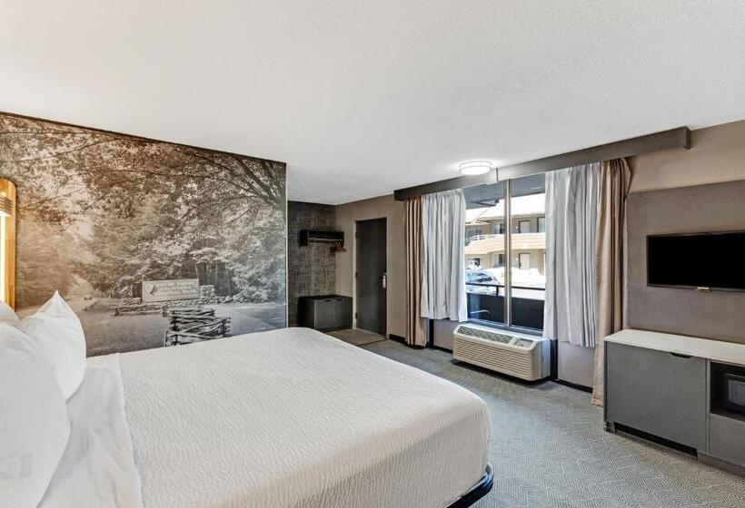 汽车旅馆  The Wander