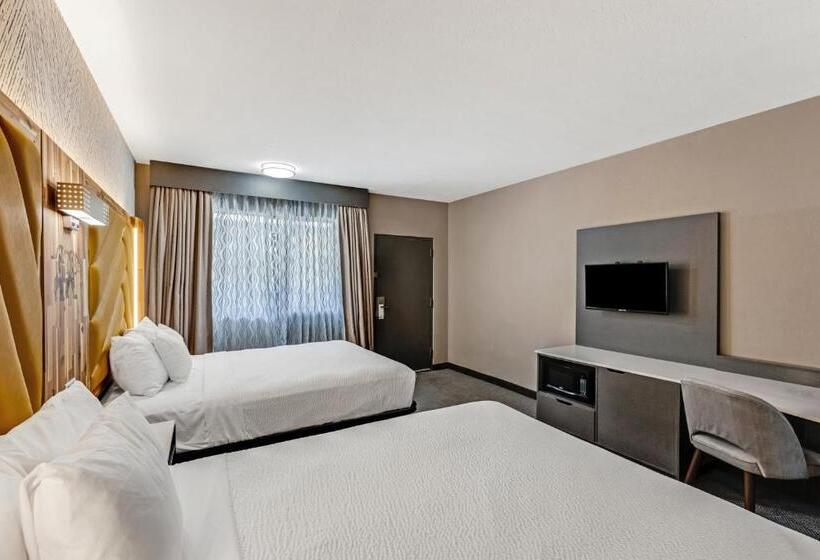 汽车旅馆  The Wander