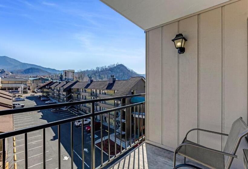 汽车旅馆  The Wander