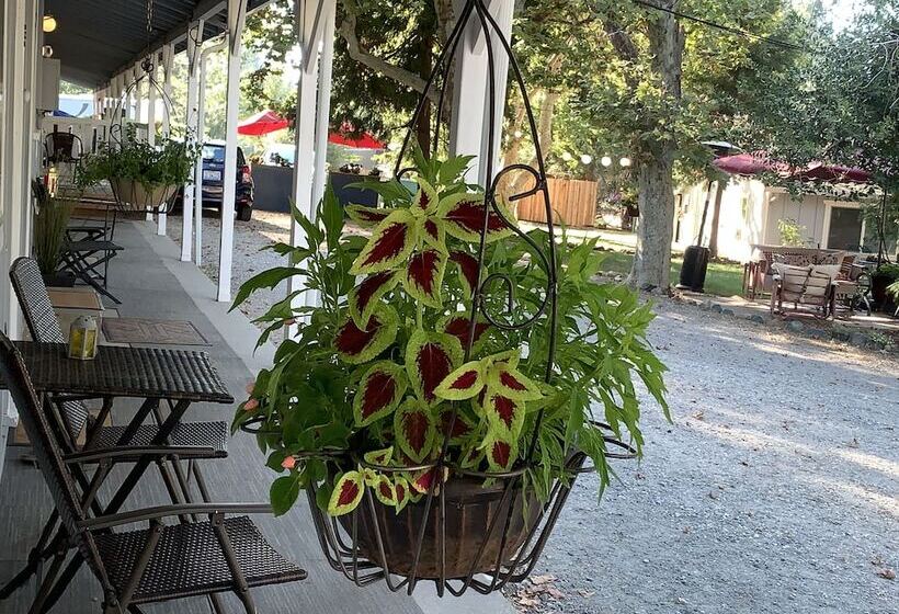 מוטל The Pines Inn And Cottages