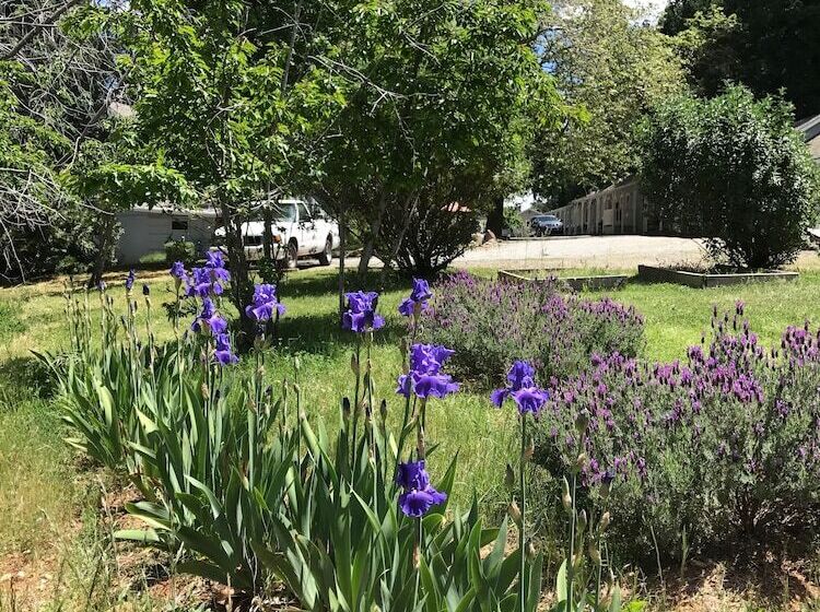 מוטל The Pines Inn And Cottages