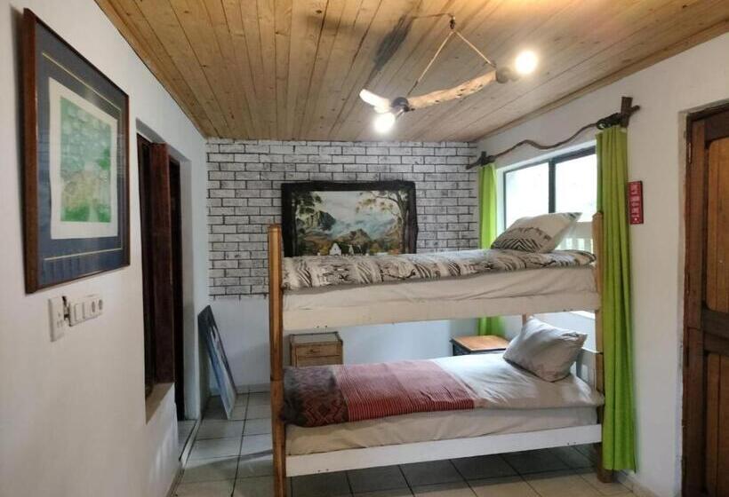 هاستل Behind The Dunes