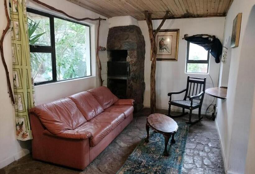 هاستل Behind The Dunes