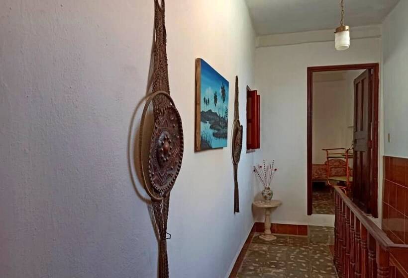 تختخواب و صبحانه Casa Triz