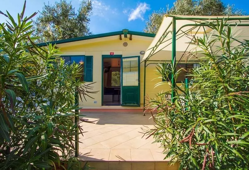 ホテル Camping Oliva Mobile Homes