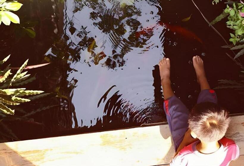 Szálló Baan Chankhiang At Chiangkhan