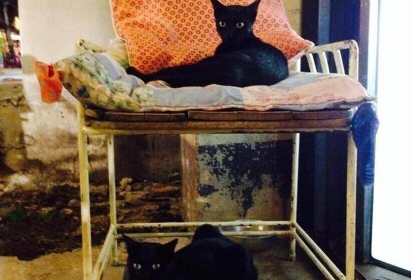 Szálló Baan Chankhiang At Chiangkhan