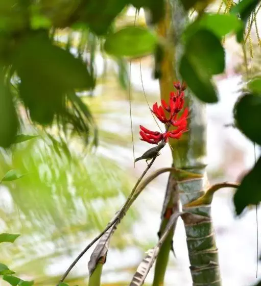 Banmaihom Resort Amphawa