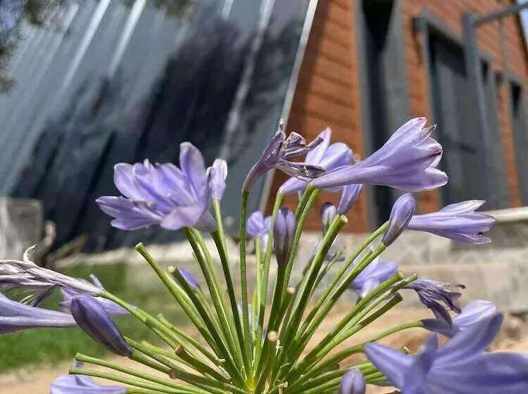 Aamiaismajoitus (B&B) Reset Resort Göcek