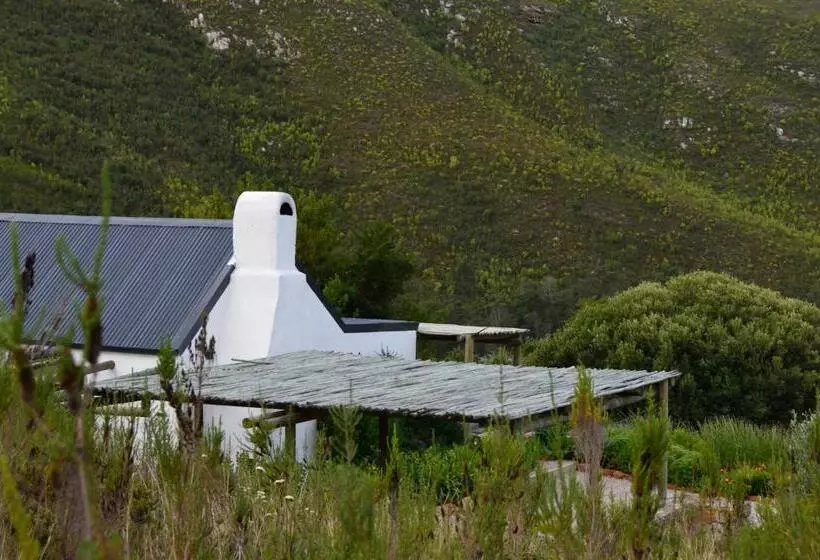 ホテル Allie S Mountain Cottage