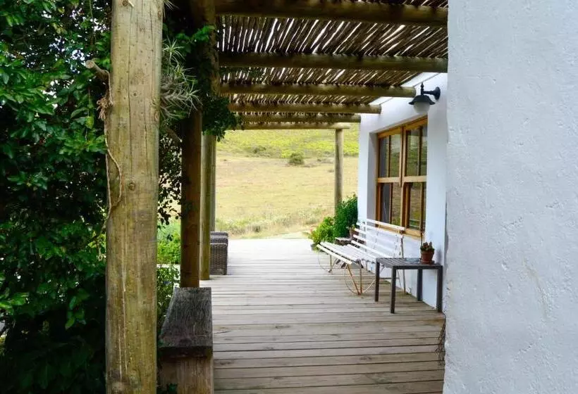 ホテル Allie S Mountain Cottage