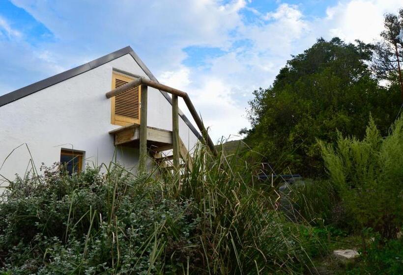 酒店 Allie S Mountain Cottage