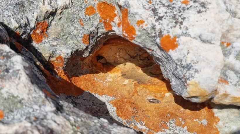 酒店 Allie S Mountain Cottage