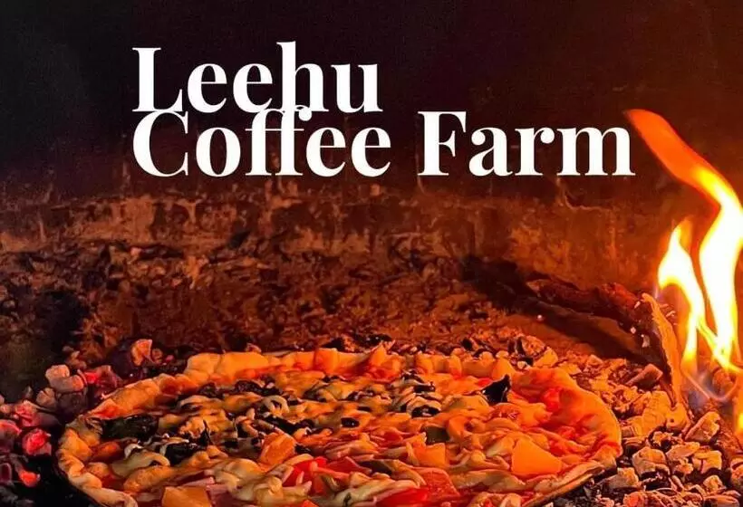 ホテル Leehu Coffee Farm