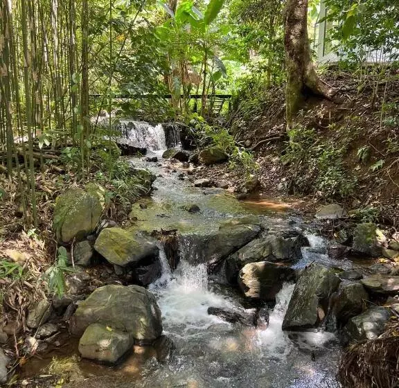 ホテル Leehu Coffee Farm