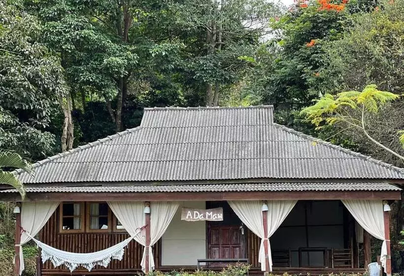ホテル Leehu Coffee Farm