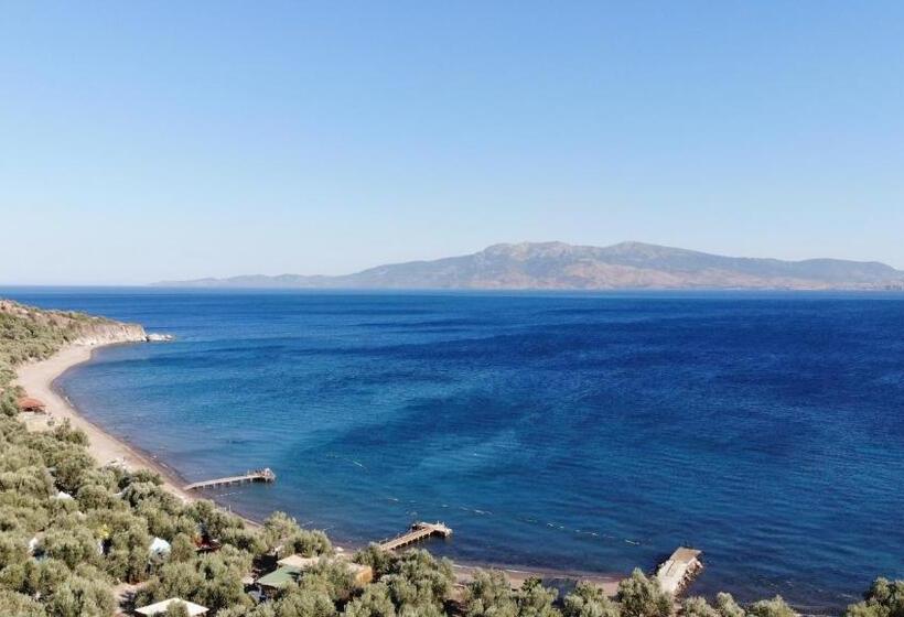 İdaolea Butik Otel