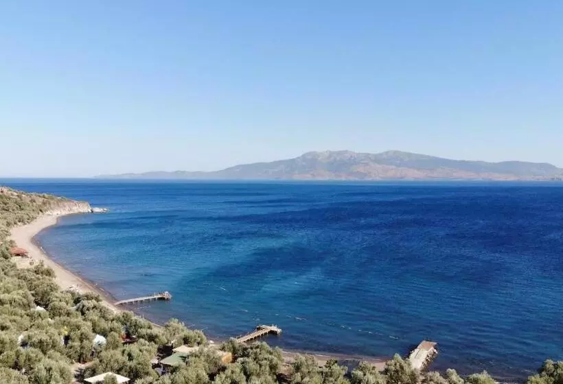 İdaolea Butik Otel