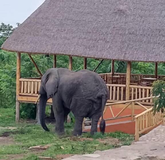 پانسیون Bulbul Safaris Lodge