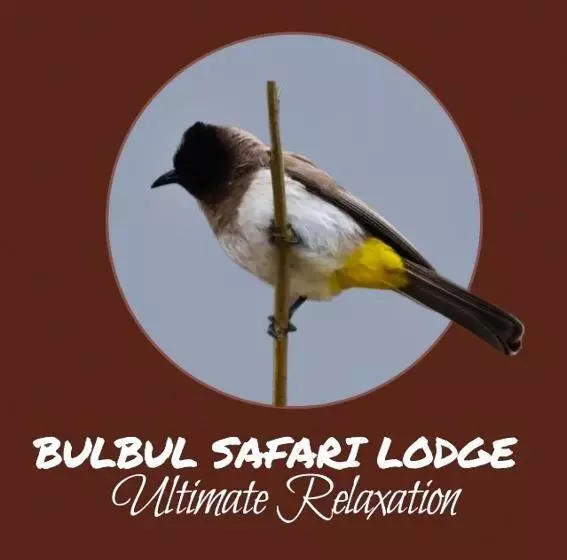 پانسیون Bulbul Safaris Lodge