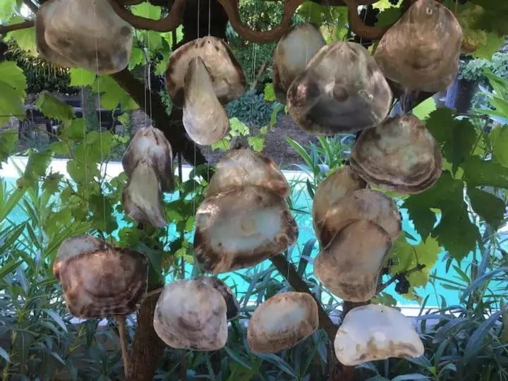 B&b Clos Emilion Et Table D Hôte En Option