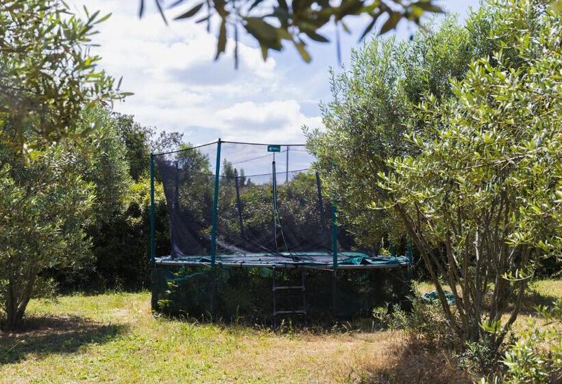 مبيت وإفطار Chambre Voile De Soie   Homestay   Chez Manon En Luberon