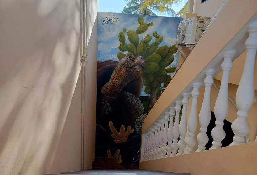 هتل Hostal Los Cactus