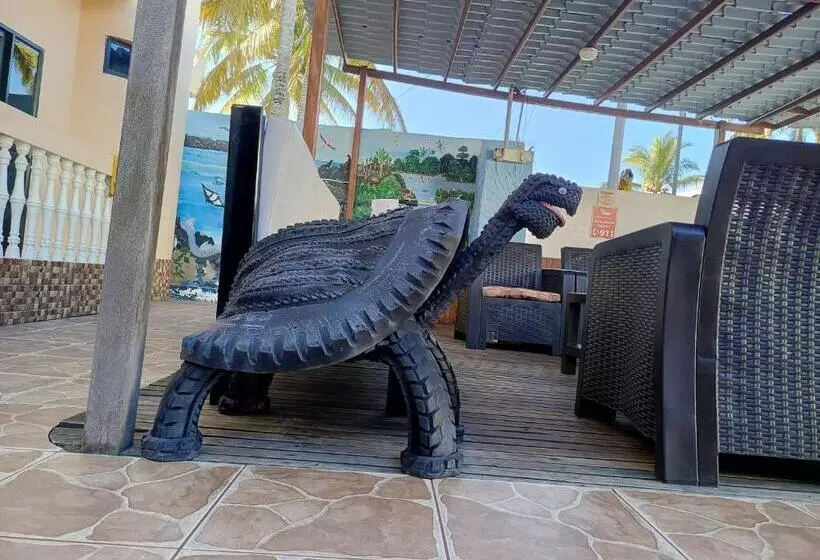 هتل Hostal Los Cactus