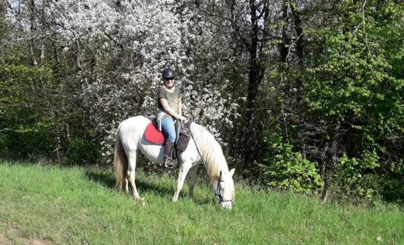 Majatalo Gîte Du Colombier