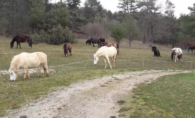 Majatalo Gîte Du Colombier