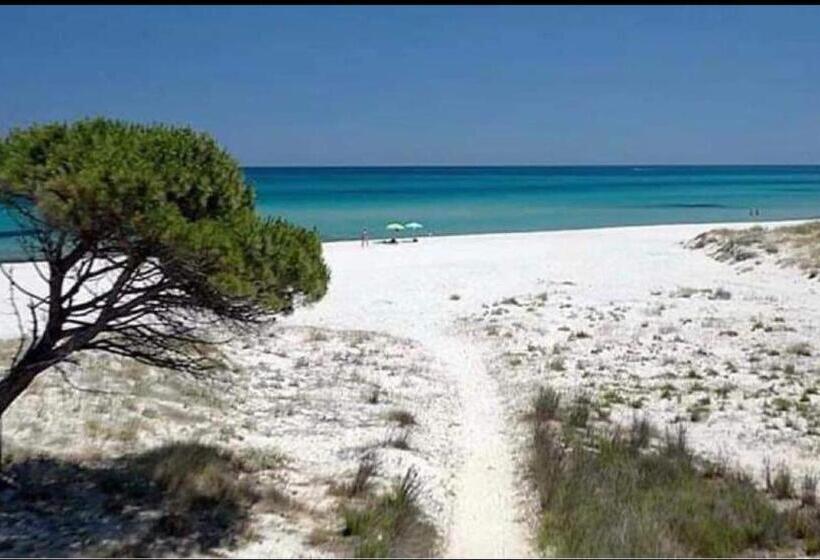 Panzió Massetti Rooms