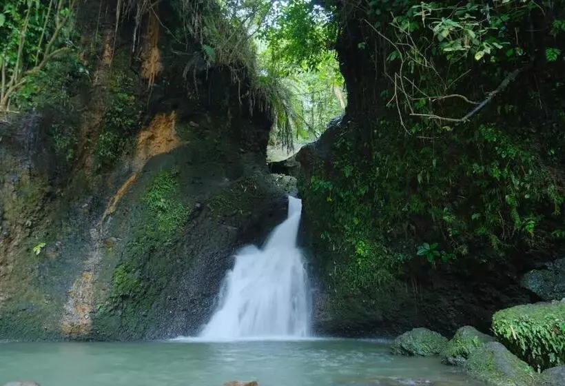 ユースホステル Alora House Lombok Tete Batu