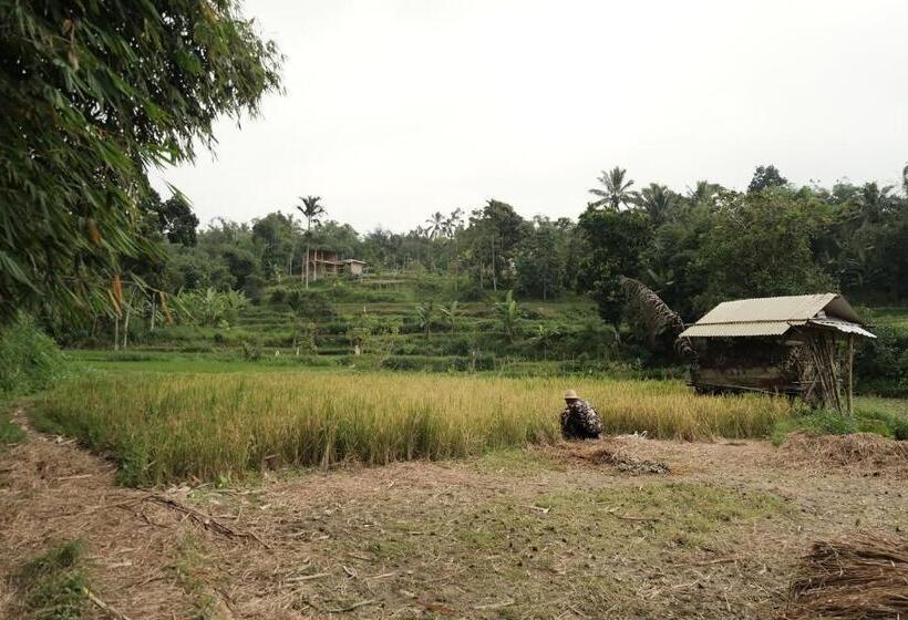 Szálló Alora House Lombok Tete Batu