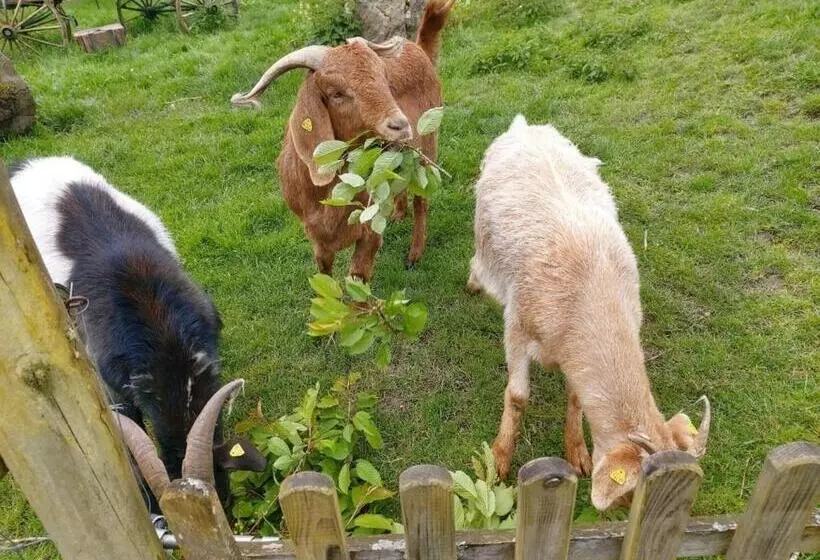 Aamiaismajoitus (B&B) Orangerie Zimmer Gehaichnishof 7born