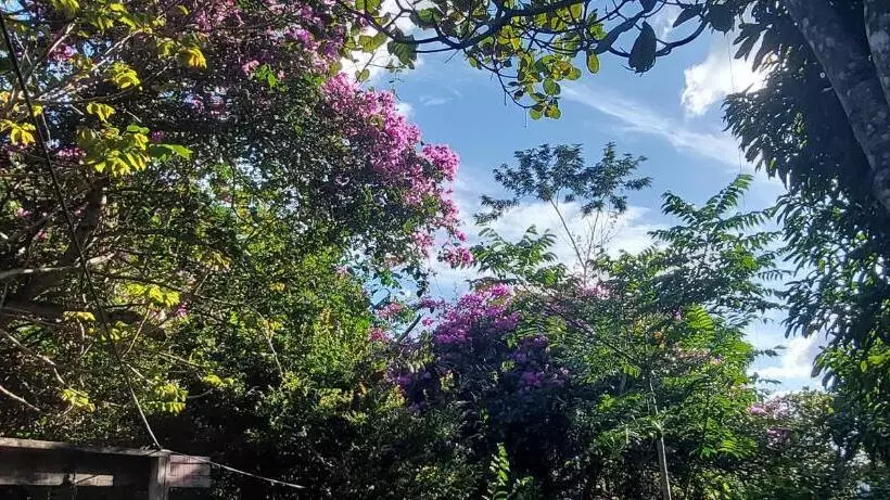 ペンション Pousada Com Chalés Na Serra Da Meruoca