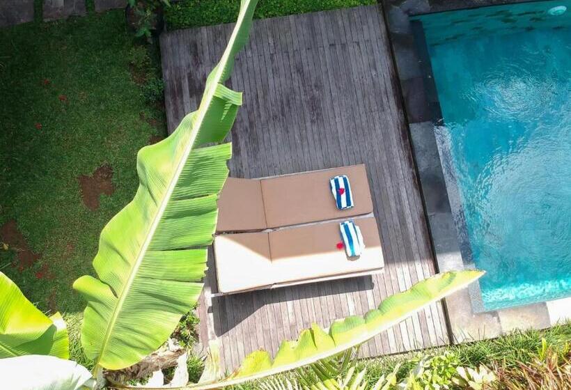 膳宿费 Wardana Ubud Villa