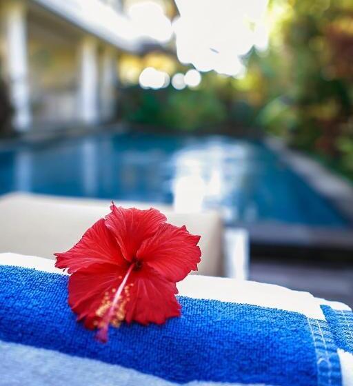 膳宿费 Wardana Ubud Villa