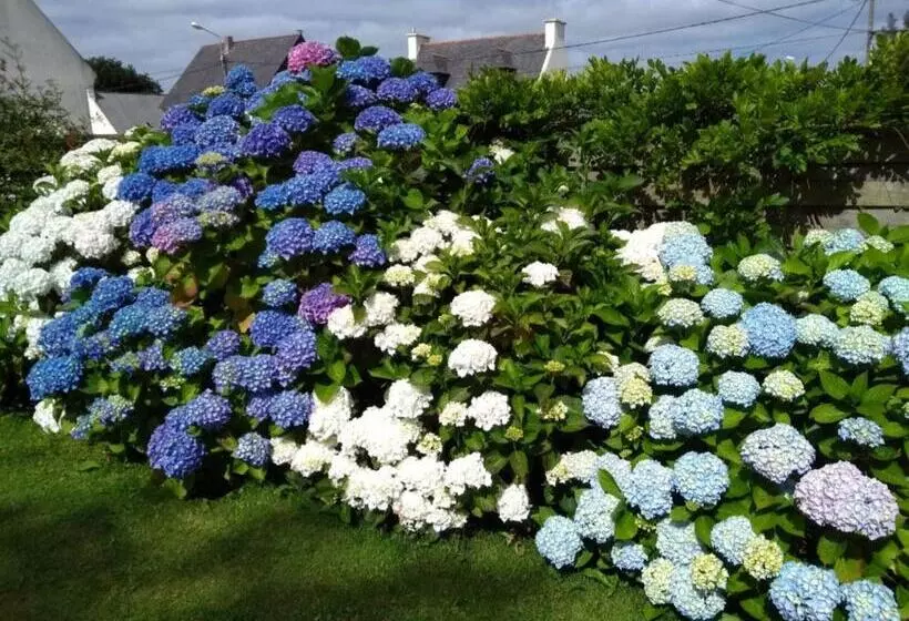 Aamiaismajoitus (B&B) Chambre D Hôtes