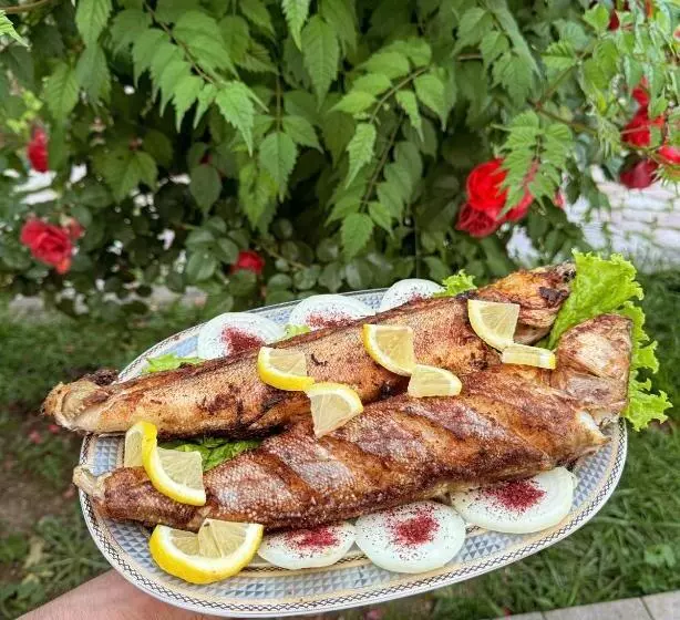 تختخواب و صبحانه Qoşa Bulaq Oğuz