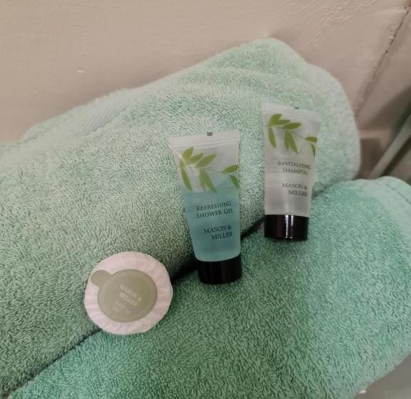 בית מלון כפרי Windsor