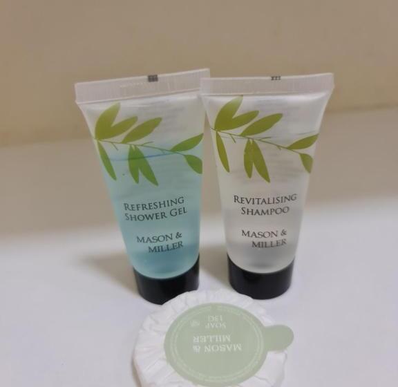 בית מלון כפרי Windsor