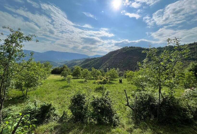 پانسیون Lala House