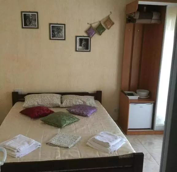 Cămin Aura