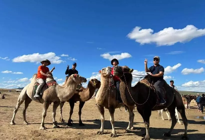 هاستل Camel Track Guesthouse And Tour Operator Llc