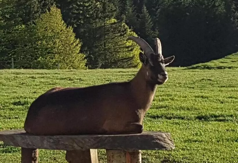 Aamiaismajoitus (B&B) Domaine Du Mas Du Taillet
