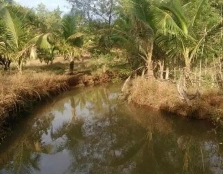 Aamiaismajoitus (B&B) Jeevandeep T S K Paryatak Niwas Nirawade