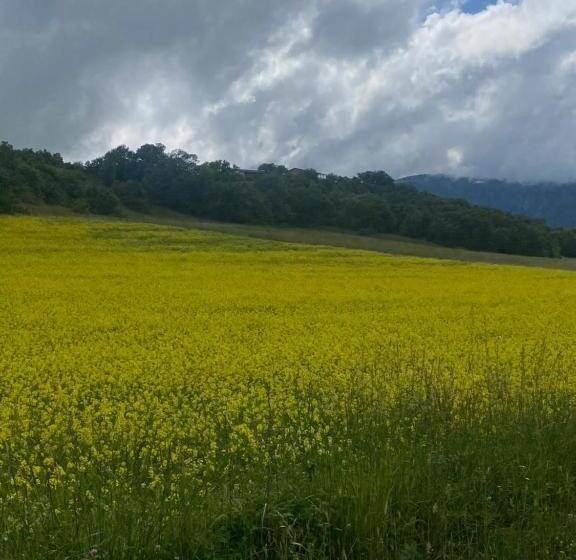 Nocleg ze śniadaniem La Casa Di Rita
