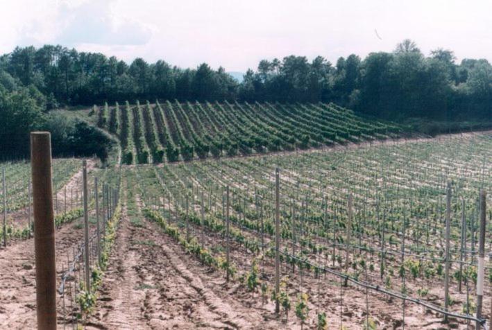 בית מלון כפרי Agriturismo Campo Del Monte