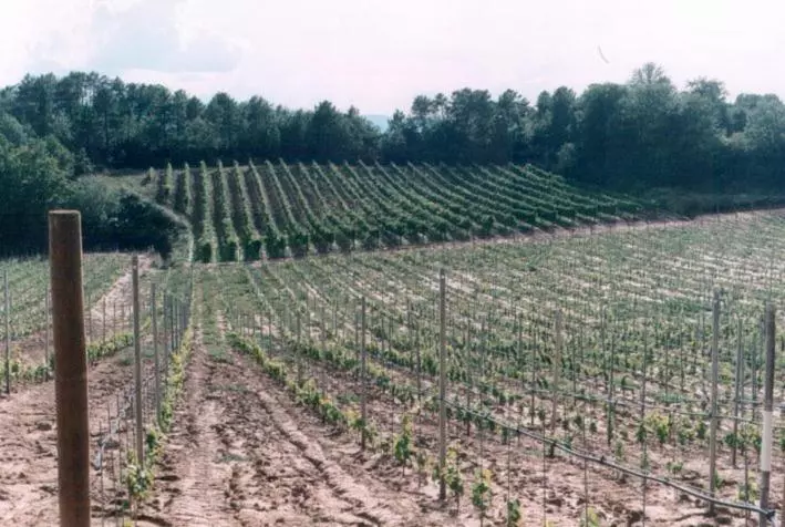 ホテル Agriturismo Campo Del Monte