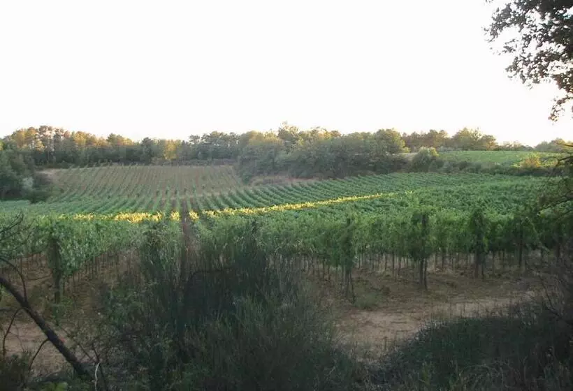 ホテル Agriturismo Campo Del Monte